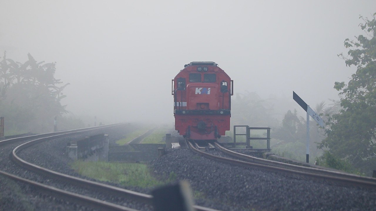 Train travel: Train Tours