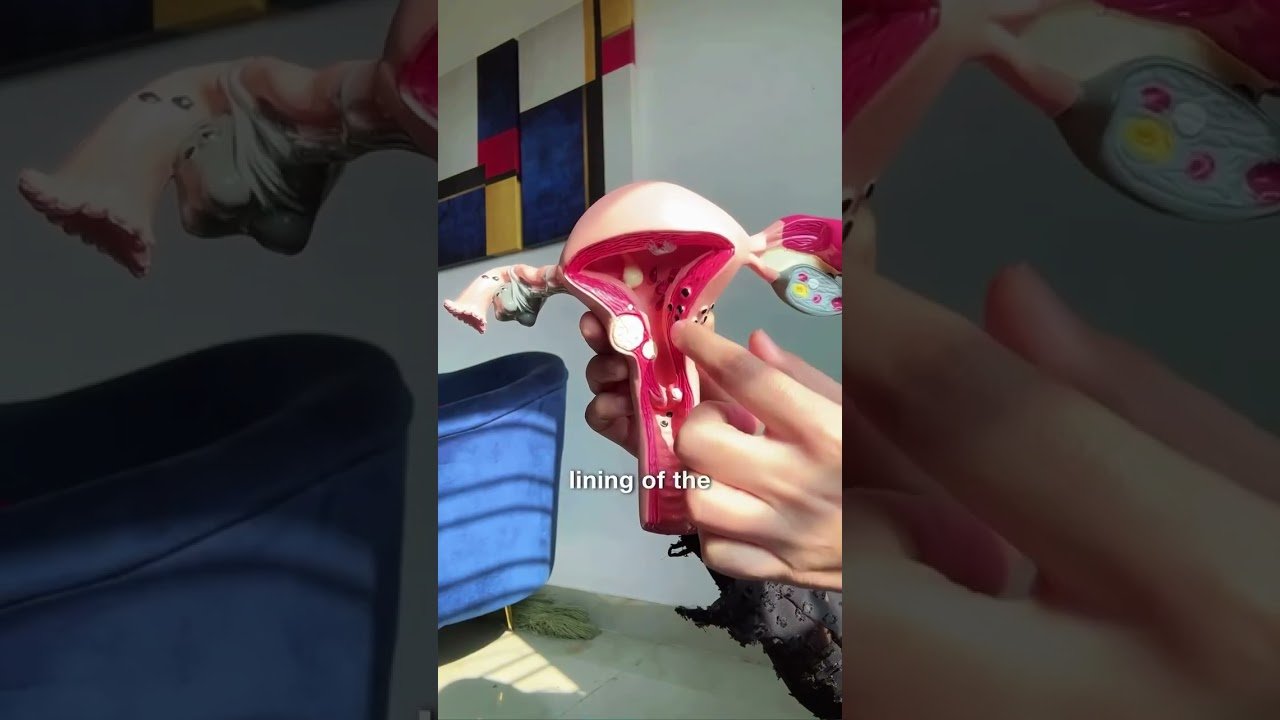 Cycle-Related Breast Pain