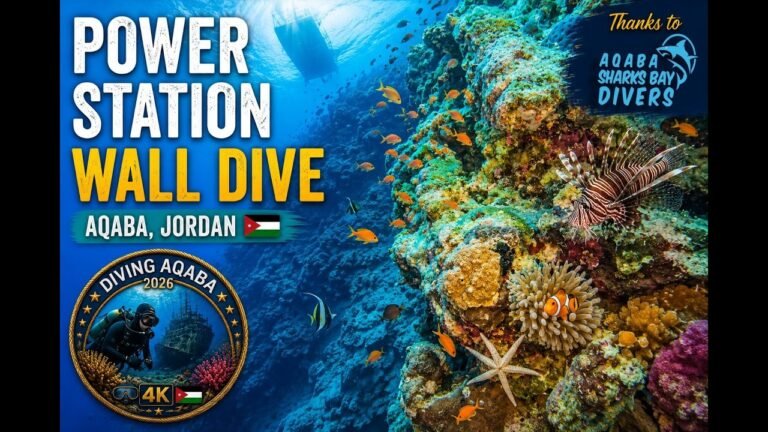 Island travel: Coral Reefs