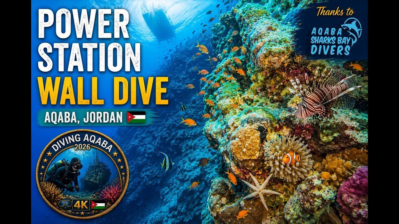 Island travel: Coral Reefs