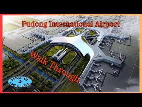 Airplane travel: Airport Transfers