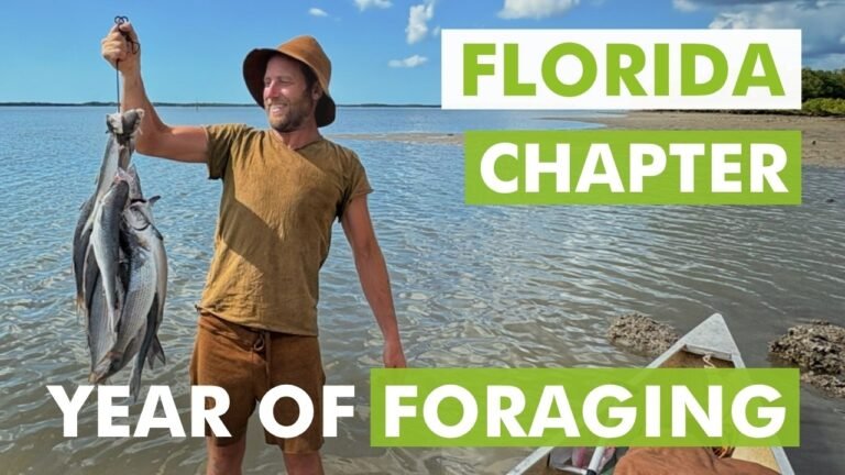 Travel and food Sustainable food