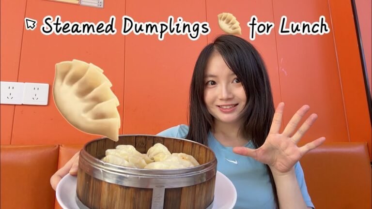 Chinese Food Dumplings