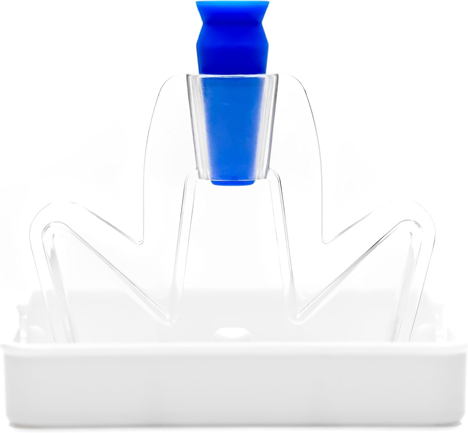 toric contact lenses