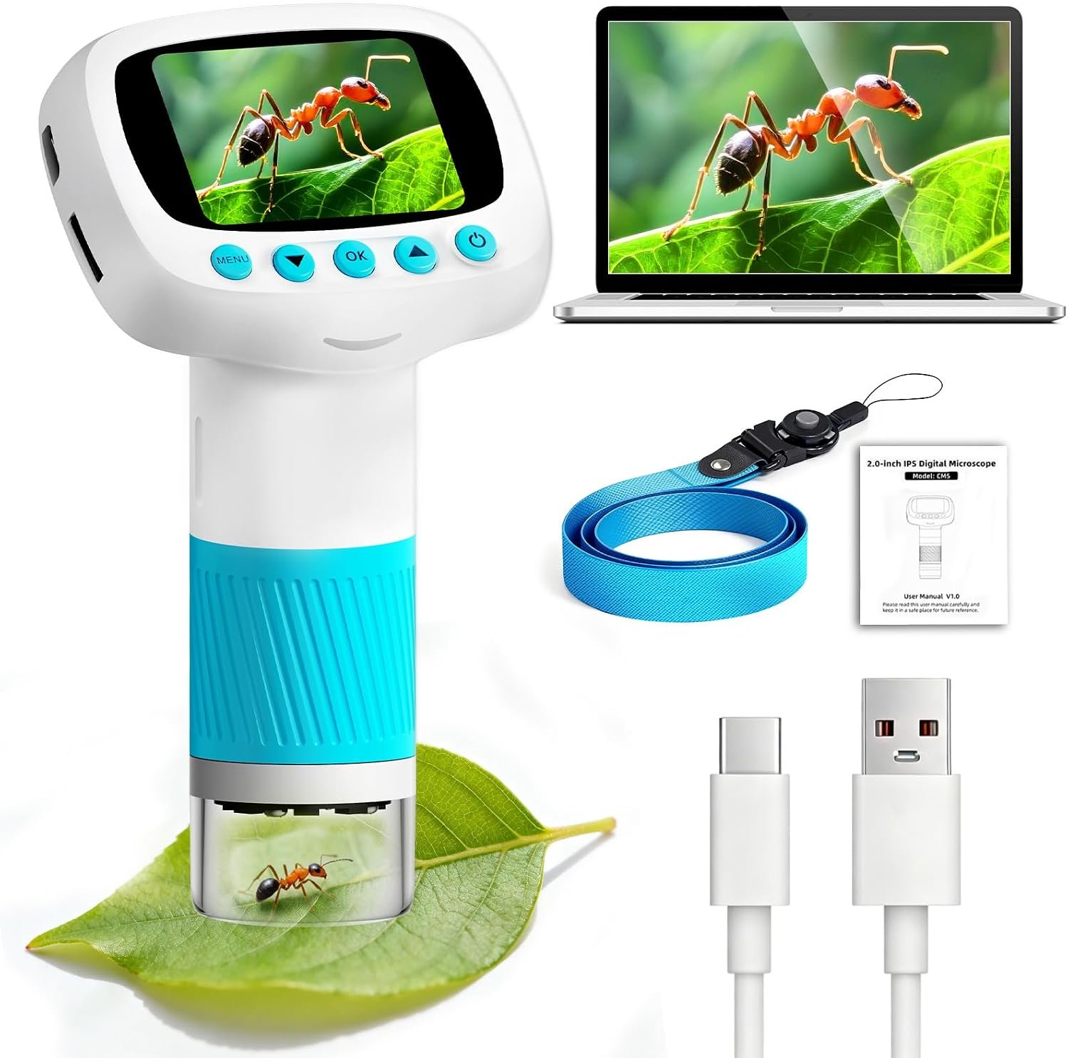 educational magnifying tools