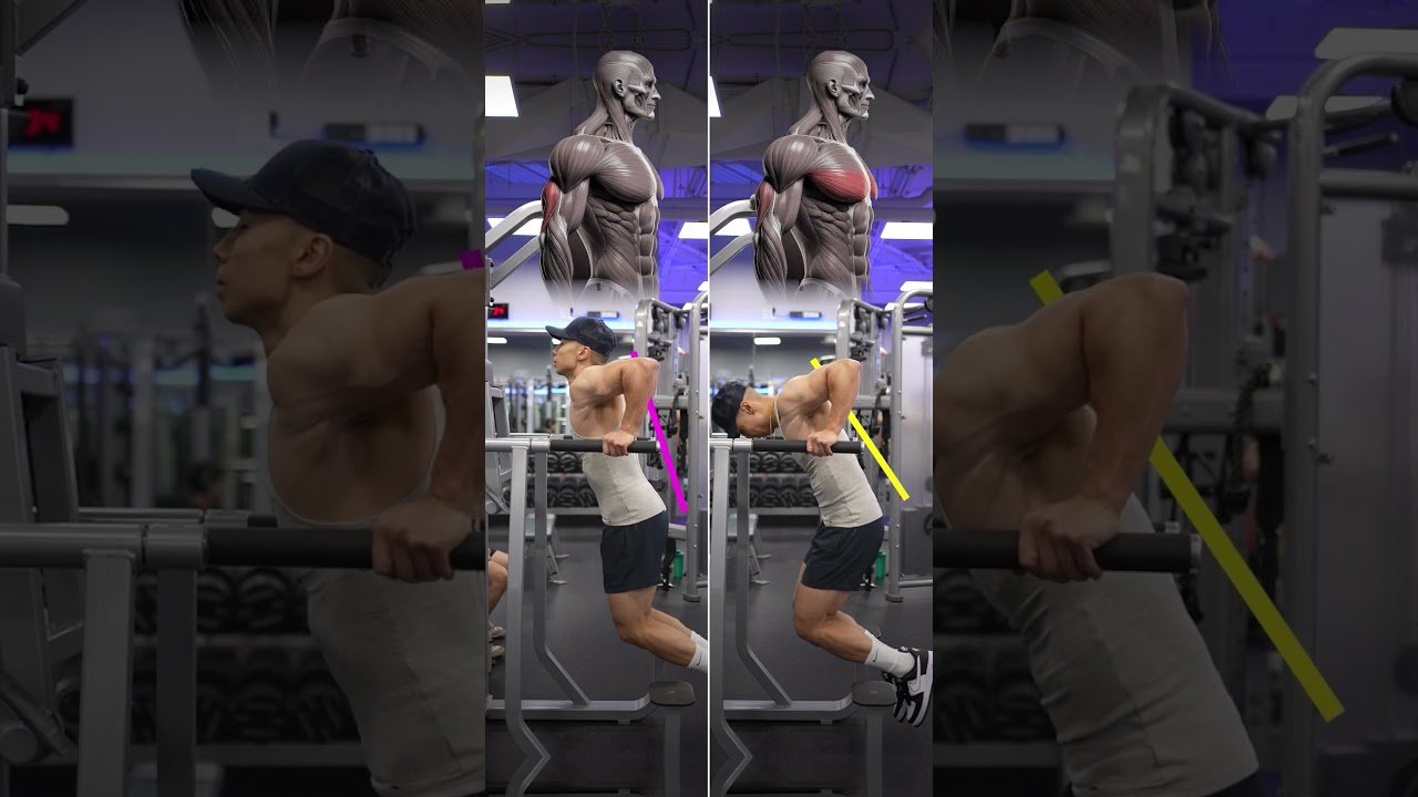 Top knee sleeves for pain