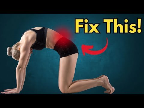 Best Stretches for Back Pain