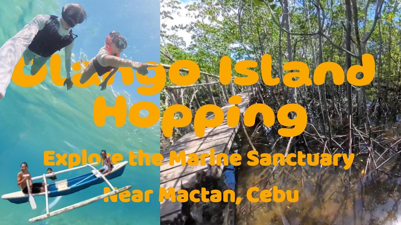 Island travel: Marine Life