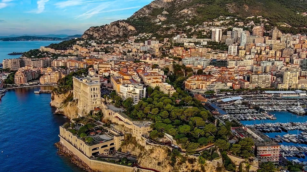 Discover Monte Carlo