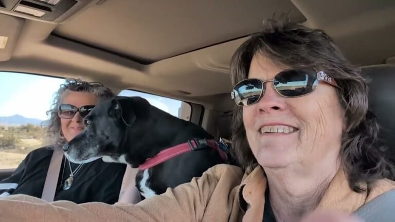 RV TRAVEL and FOOD