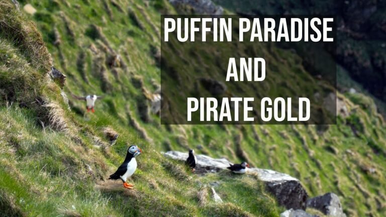 Island travel: Birdwatching