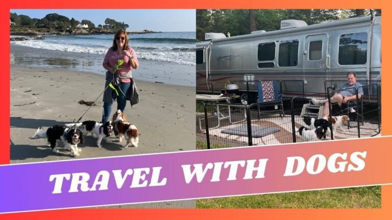 RV TRAVEL and FOOD